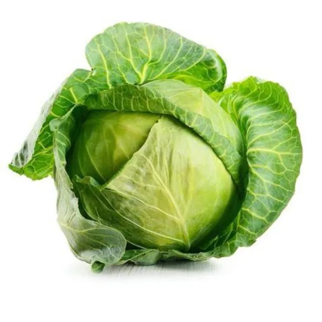 Cabbage