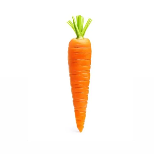 Carrot