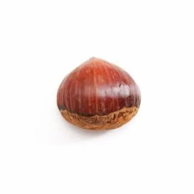 Chestnut
