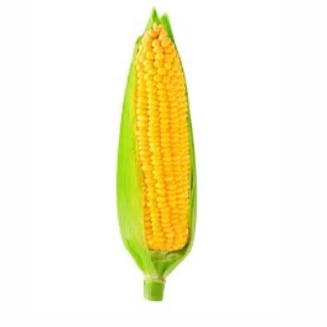 Sweetcorn