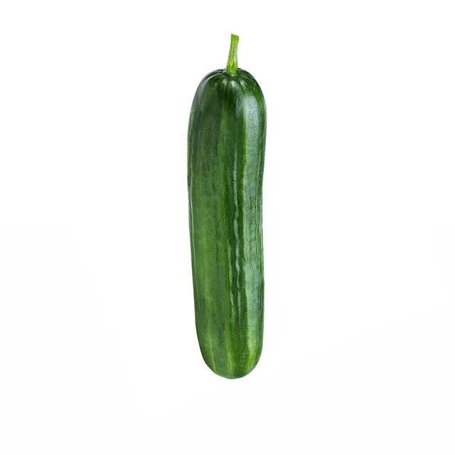 Cucumber