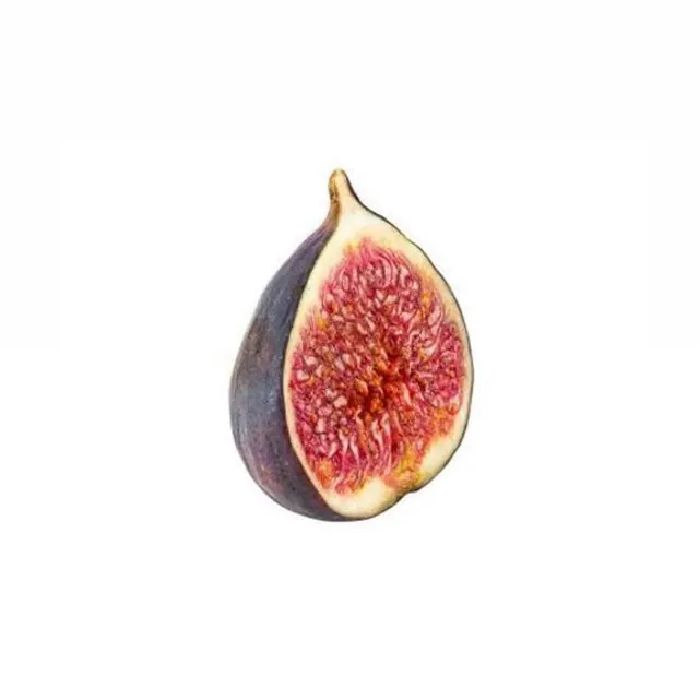 Fig
