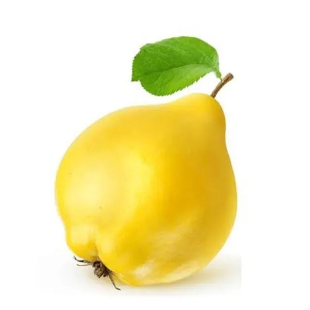 Quince