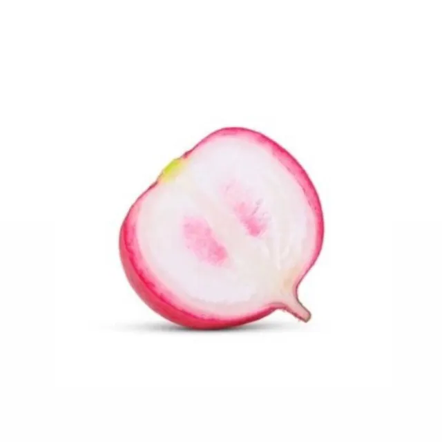 Radish